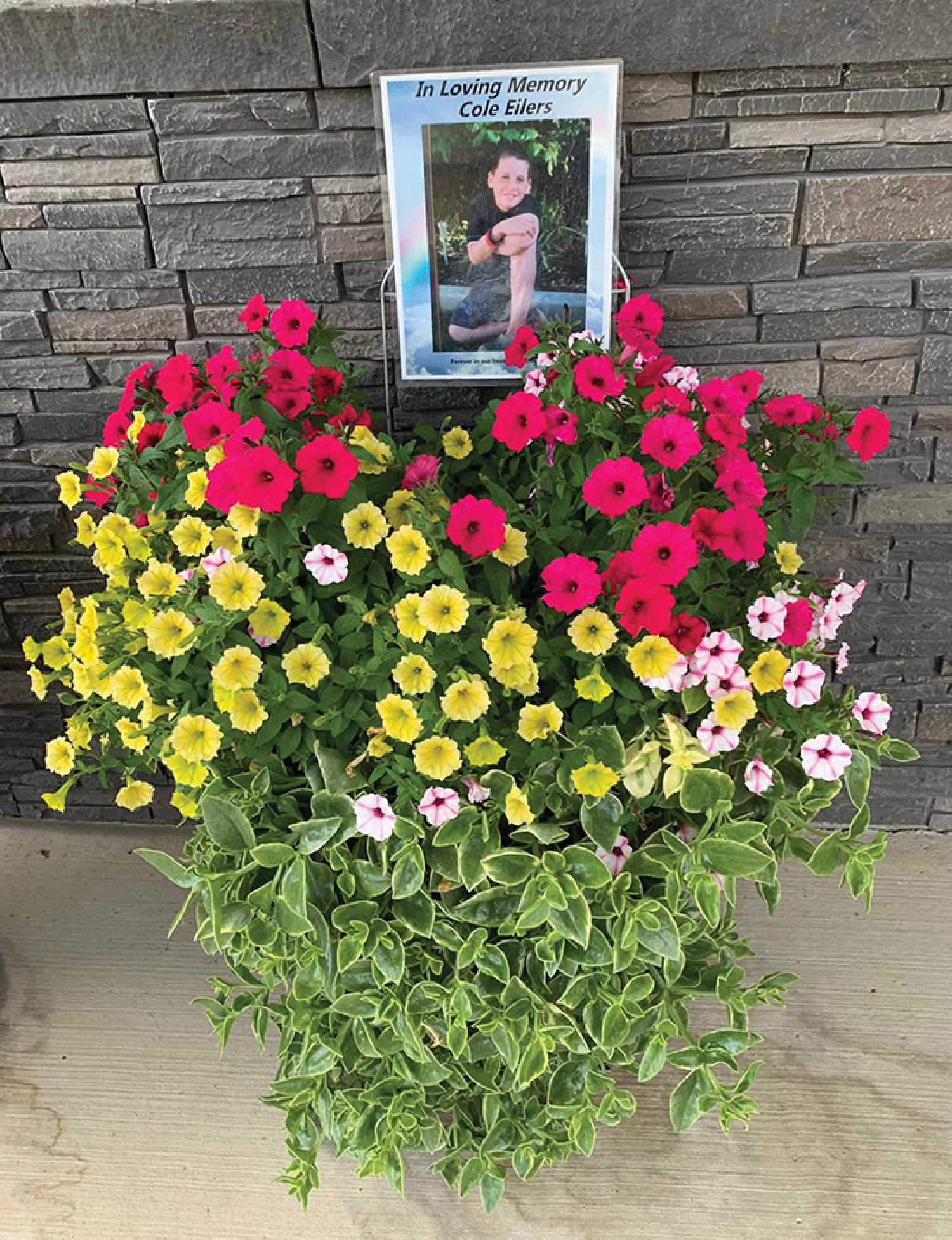 One of the many Memory Pots in Redvers. The town recently received three blooms from Community in Bloom, and a special award for the Memory Pot project.